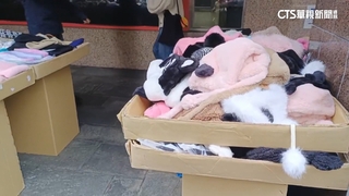 警抓違規設攤有SOP！　先勸導.開單再扣收攤架