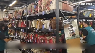 商機無限？　中海關破獲1人夾帶316二手名牌包