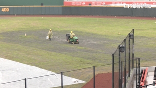 連日雨樂天球場「草長太慢」　「燦.政會勘」開幕戰變數