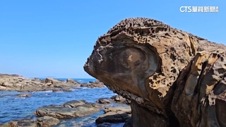 渾圓大眼搭坑洞斑紋...　外木山「海龜石」暴紅