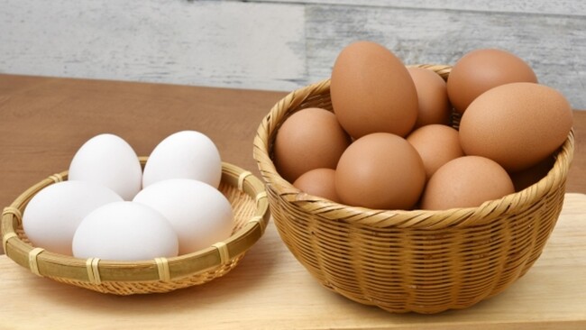 「紅雞蛋」營養價值比白雞蛋高？　食藥署這麼說 | 華視新聞
