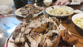 甕仔雞逃跑了？　台大學生社團PO文「尋雞」創意吸睛