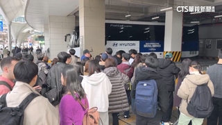華視前進MLB首爾海外賽　高尺巨蛋外球迷守候