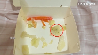 客怒高麗菜吃到釘書針！業者：都用膠帶.橡皮筋包裝