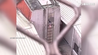 男童卡梯大哭　鄰居驚報警：以為又虐童