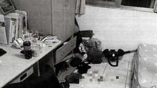 淡水男大生半夜發酒瘋 竟偷學姐愛貓「凌虐致死」 下場慘了