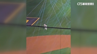 MLB首爾賽Aespa開唱　教士Tatis衝上草皮超嗨！