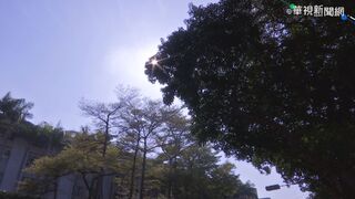 今起全台飆高溫！ 下週二鋒面再變天