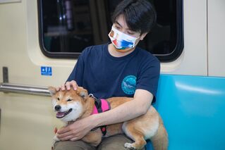 貓狗搭北捷免關籠！ 3/31限定時段推「寵物友善列車」