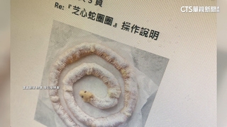 忍者龜披薩不夠看？　店家再推蛇圈圈　獨特造型熱議