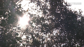 今溫暖偏熱日夜溫差大　中南部高溫局部可達36度