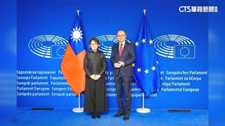 蕭美琴訪波羅的海三小國　專家：鞏固關係黃金時間