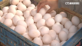 電價甫調漲...蛋價今起先漲3元　蛋商公會：市場供需