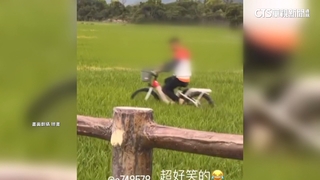 遊客嬉笑騎鐵馬輾稻田　鎮長怒：關山不歡迎你們！