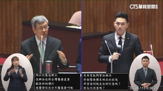 總質詢期末考！廖偉翔談健保　陳揆回酸：外行.不懂醫療