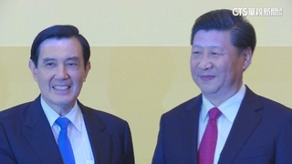 「馬習二會」機率高？　陳建仁：盼主張台灣主權獨立國家