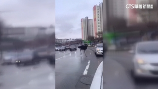 鴕鳥脫逃上街狂奔　南韓網友目擊掀熱議