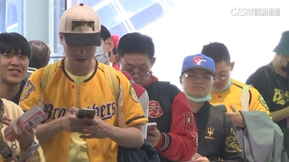 龍猿開幕戰人數創「新高」　大巨蛋前7戰預售票破8萬張