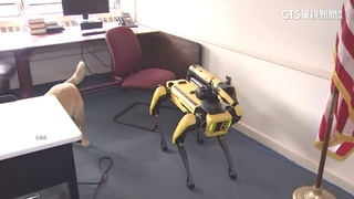 美民宅爆槍戰！　機器戰犬護警立功　槍手遭逮