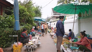 寮國爆炭疽病疫情！確診逾60例　泰國警戒