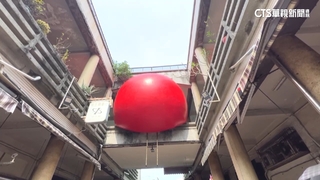 「紅球計畫」吸人潮！消風成「紅龜粿」　民眾：好療癒