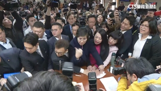 綠祭「天天動員令」　柯轟藍白：以為國會過半什麼都能做