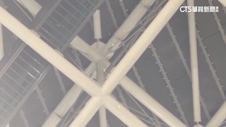 大巨蛋再度漏水！　球迷室內撐傘躲「雨」看棒球