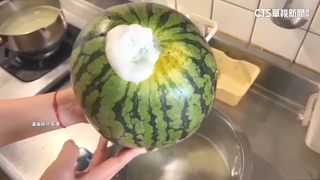 美式賣場小玉西瓜「吐白沫」　民眾嚇壞：還有裂痕