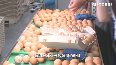 網傳土雞蛋含蘇丹紅　農業部無檢出