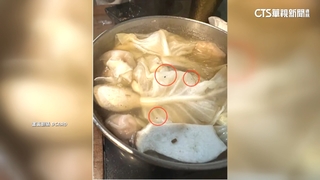 連鎖火鍋店遭控菜裡都是蟲　　業者：食材清潔沒確實