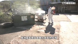 3個月逾350萬感染！　美洲恐爆最嚴重登革熱疫情