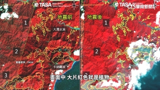 花蓮強震福衛五號出任務　災前.後衛星對比照曝