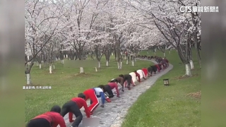 中國公園驚見「蜈蚣陣」　中年男女爬行訓練掀議
