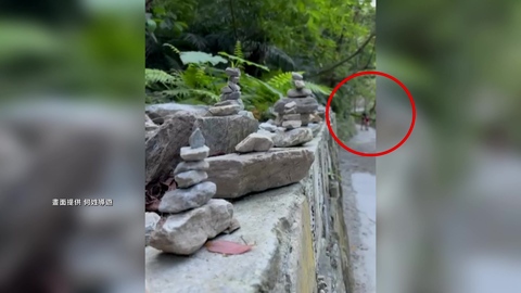 擴大搜砂卡礑0.85K 星夫妻震前20分鐘身影曝