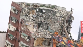 花蓮天王星大樓救出2貓　康老師愛貓「貓咪」待救援  網友外送青菜給雞吃