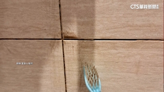 客控台南某飯店牆壁發霉.蓋被發癢　業者：加強改善