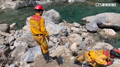 星國夫妻砂卡礑下車 14人1犬續搜熱點區域