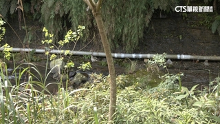 上吐下瀉禍水何來？　醫師疑：地震管裂微生物滲入