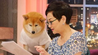 張小燕心碎談黃子佼案　「早知道絕不讓孟耿如嫁黃子佼」