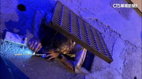 「忍者龜」現蹤花蓮天王星? 男鑽下水道為「救雞」