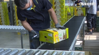 搶攻國際市場！　台南農特產前進新加坡食品展