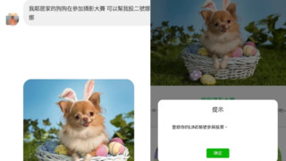 收「幫投2號娜娜」拉票訊息　一票網幫投後LINE秒被盜走 最慘被刪帳