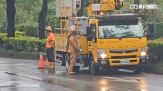 水電雙急？桃園連三天停電　王美花：與供電系統無關