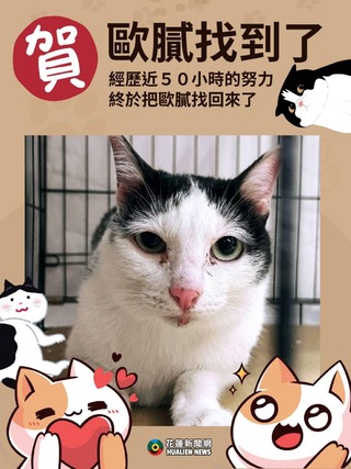 天王星5隻貓全數獲救！ 最後1乳牛貓「歐膩」回家了