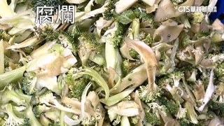 台南營養午餐食材用爛菜　教育局：部分食材退貨品