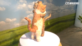 台南西拉雅森活節超吸客　療癒系動物展登陸屏東