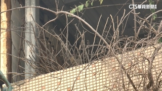 百歲老翁成白骨 女兒「垃圾袋藏屍」 里長稱：她單純捨不得　　