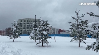北歐芬蘭春末罕見下雪　大眾運輸一度停擺