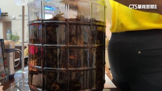 聽信「藥酒治百病」！　婦花19.3萬驚覺受騙急討錢