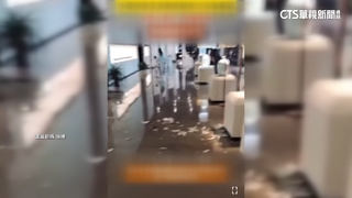 女童打破52萬元花瓶　博物館：防護不周免賠